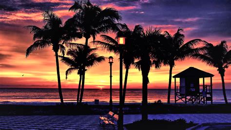 Фото Beach palms sunset - бесплатные картинки на Fonwall