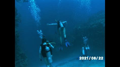 Diving the Wall at Cane Bay, St Croix, USVI - YouTube