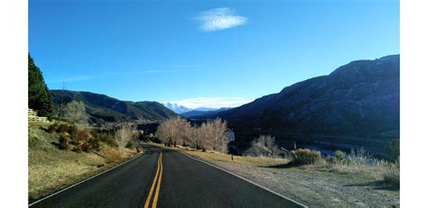 Colorado Mountain Gardener: Winter Watering for Trees and Shrubs in the Mountains