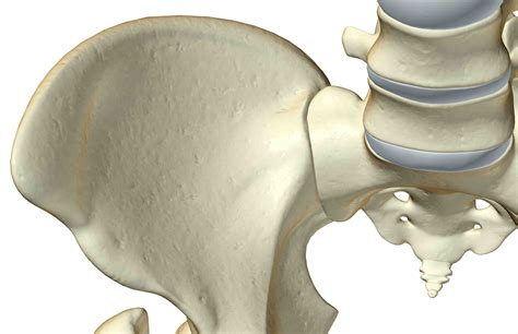 Sacroiliac Joint Dysfunction Symptoms and Treatment