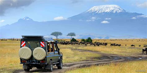 Best Safaris Near Mt Kilimanjaro – SafariBookings