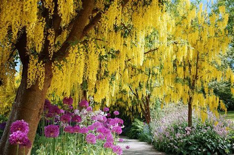 6 Famous Botanical Gardens to Visit in Vancouver | Para Space : Para Space