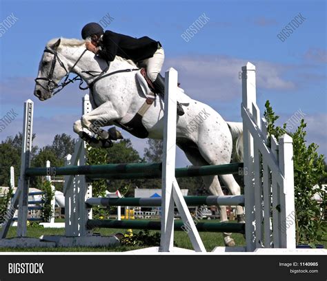 White Horse Jumping Stock Photo & Stock Images | Bigstock