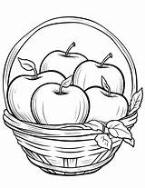 25 apple coloring Pages Free Printable Sheets – Artofit sketch template
