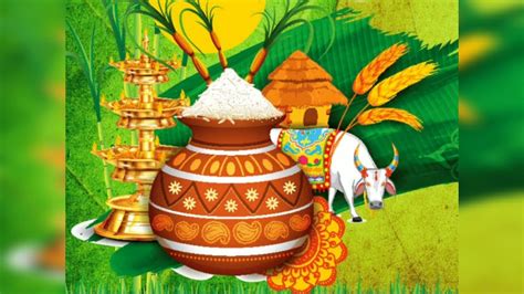 Pongal festival celebrated in Tamil Nadu - YouTube