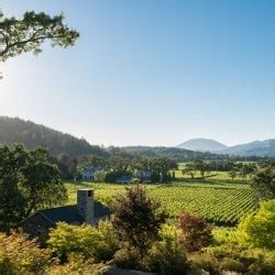 St. Helena Wineries: The heart of Napa Valley - California Winery Advisor