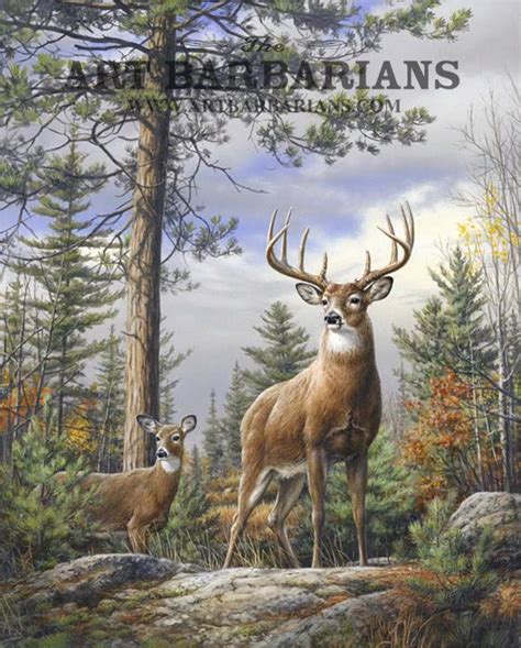 prints of deer images | Wildlife art prints plus original paintings with a wide selection from ...