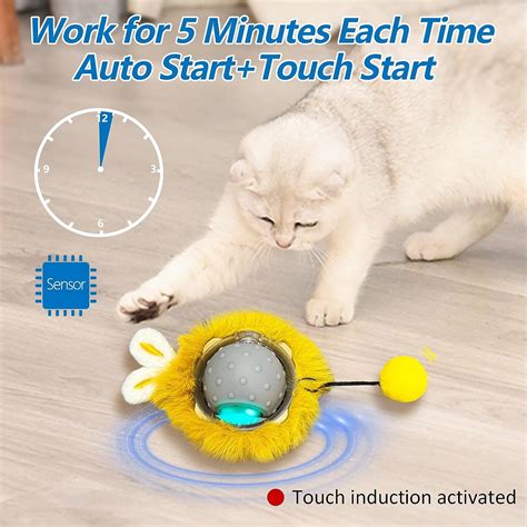 Fun and Interactive Smart Cat Toys - CatGlamour.com