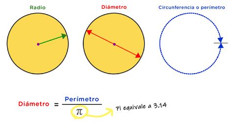 ¿Cuál es el diámetro de un círculo? - Dudalia.com