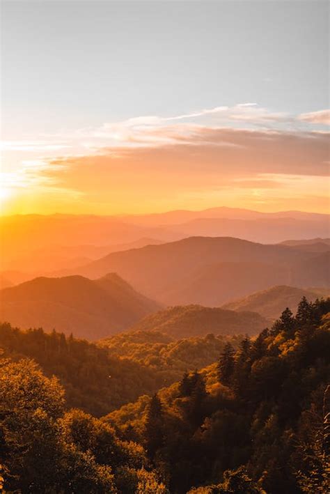 Sunset over Trees in Mountains · Free Stock Photo