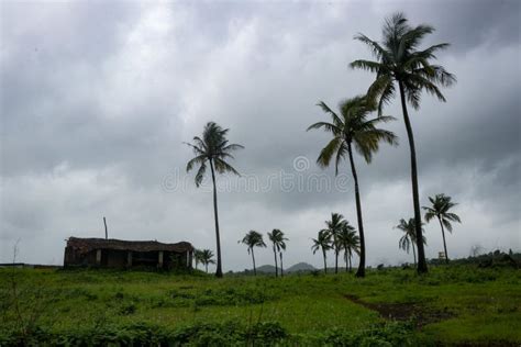 Rainy seasons in india stock image. Image of rural, monsoons - 184970673