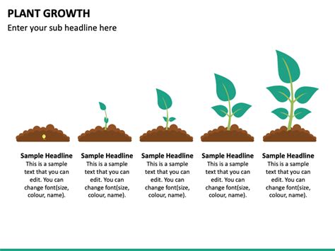 Plant Growth PowerPoint and Google Slides Template - PPT Slides