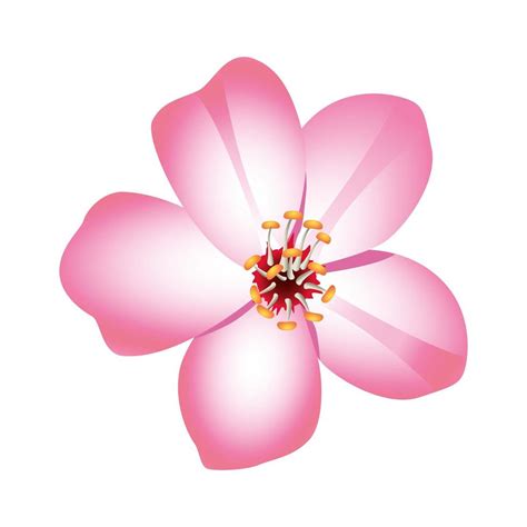 beauty pink flower nature icon 2499846 Vector Art at Vecteezy