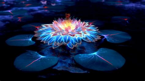 Lotus Flower Wallpapers ·① WallpaperTag