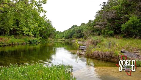 Texas Best Ranches | Giant Cypress Trees 100± Bandera County