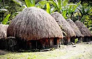 Papuanese Traditional Wooden Houses