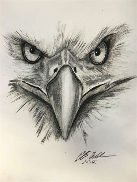 eagle tattoo ile ilgili görsel sonucu | Eagle drawing, Eagle art, Sketches