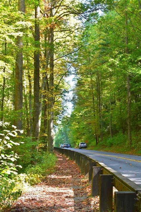 How to Hike the Laurel Falls Trail in Great Smoky Mountains National Park | Means To Explore