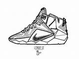 Basketball shoe coloring pages Download And Print For Free sketch template