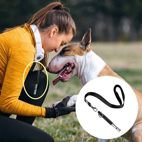 Professional Ultrasonic Dog Training Whistle to Stop Barking ...