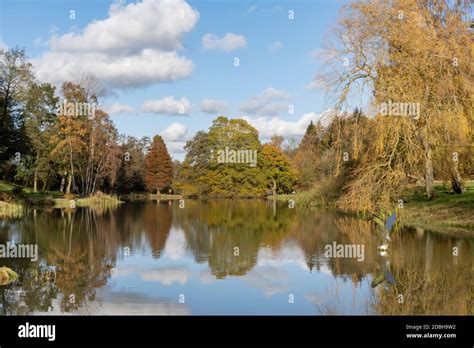 Autumn at Castle Howard Arboretum Stock Photo - Alamy