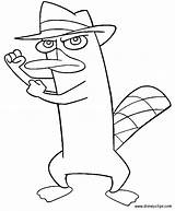 Perry The Platypus Coloring Pages sketch template