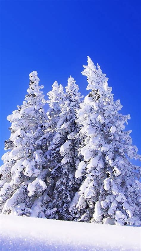 Great Blue Sky in Winter Android wallpaper - Android HD wallpapers