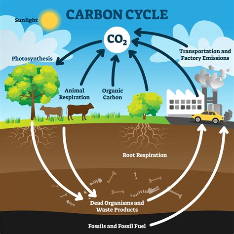 Biogeochemical Transformations | PNNL