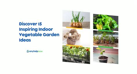 Discover 15 Inspiring Indoor Vegetable Garden Ideas