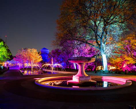 Brooklyn Botanic Garden Lightscape 2024 - Rasia Catherin