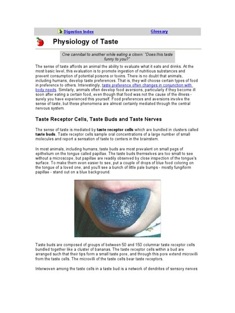 Physiology of Taste: Taste Receptor Cells, Taste Buds and Taste Nerves | PDF | Taste | Stimulus ...