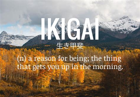 Ikigai: The Reason You Get Up In The Morning