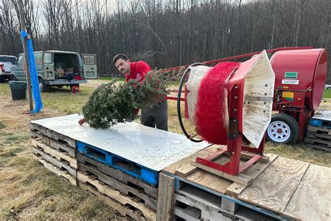 Cut your own Christmas tree at this Maryland family-owned farm - WTOP News