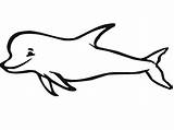 Smiling Dolphin coloring page  Download Print Or Color Online For Free sketch template