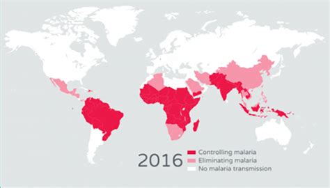 Global push to eradicate malaria boosted by $29M grant | University of California