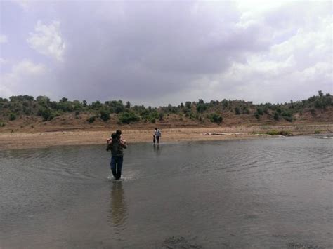 Swimming Pool - Picture of Orsang Camp, Vadodara - TripAdvisor