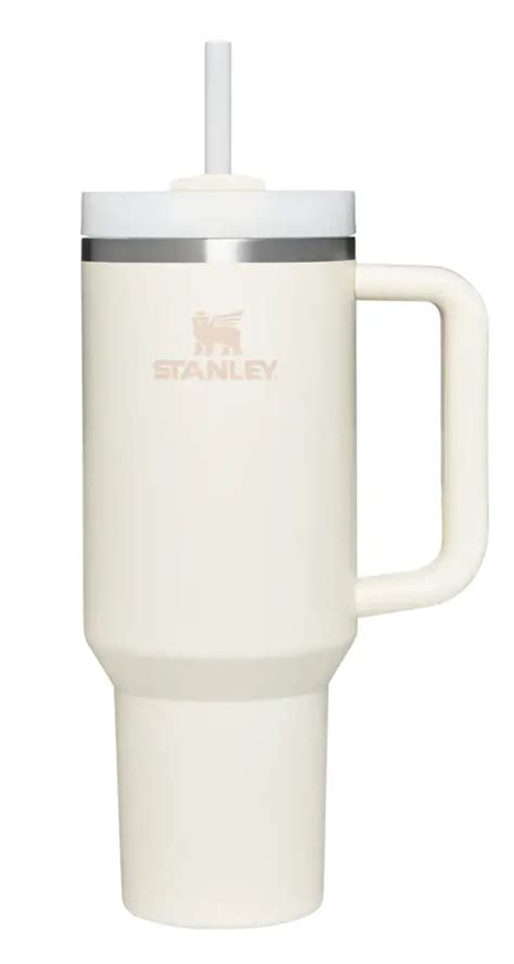 The NEW Stanley Mug | Everything you need to know! – The Modern Mindful Mom