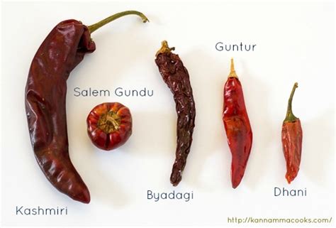 Varieties of Chillies, Popular Indian Chillies, Chillies