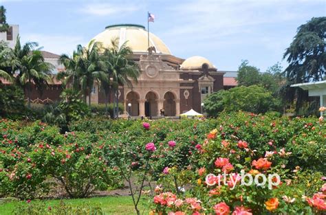 5 BEST Attractions at Exposition Park - CityBOP