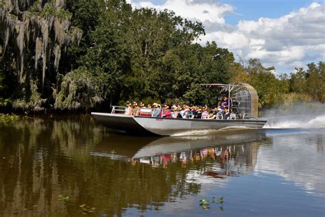 New Orleans Swamp Tours | Alligator Tour | Airboat Adventures