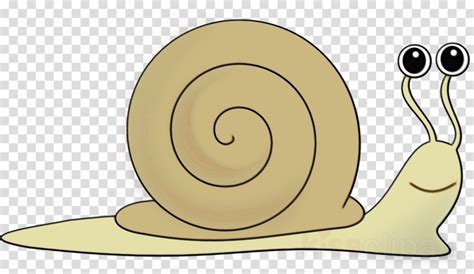 Download High Quality snail clipart slug Transparent PNG Images - Art ...