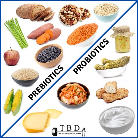 Prebiotics vs Probiotics - What's The Difference? — The Bodybuilding Dietitians