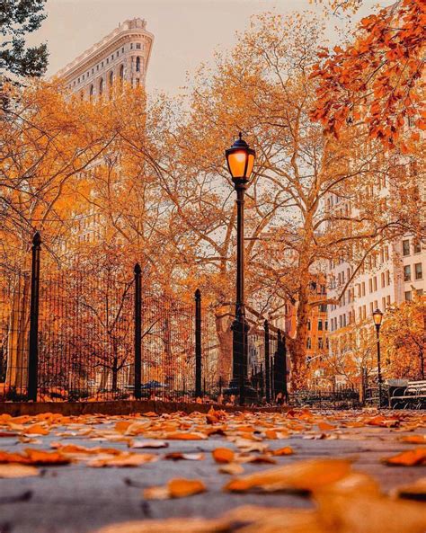 NYC Fall Wallpapers - Top Free NYC Fall Backgrounds - WallpaperAccess