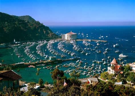 Tours & Tickets - Catalina Island, Los Angeles - Viator