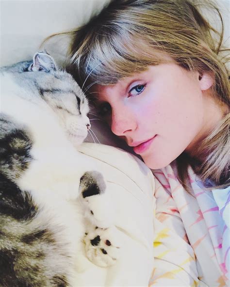 Guide to Taylor Swift's Cats — Meredith, Olivia and Benjamin