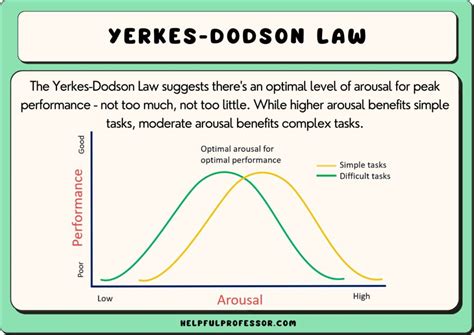 15 Yerkes-Dodson Law Examples (2024)