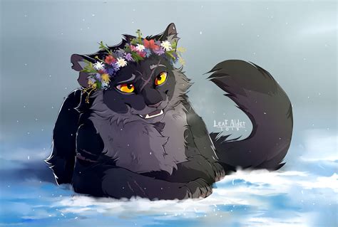 Yellowfang by Alder-Leaf on DeviantArt