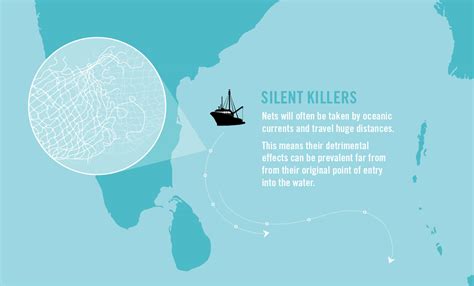 What Are Ghost Nets? | Olive Ridley Project