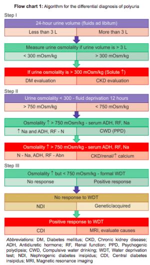 Polyuria - WikEM