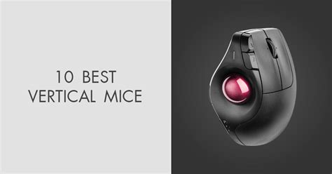 10 Best Vertical Mice on the Market to Buy in 2024